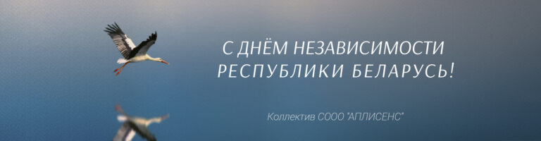 С Днем Независимости Республики Беларусь!